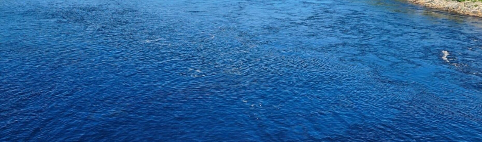 isohaara-230724-2-1536x864